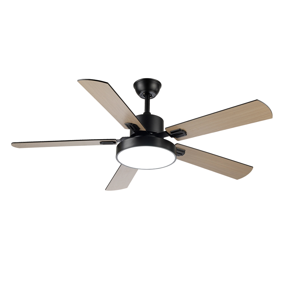 Ceiling  Fan Ultra-Thin Modern Simplicity Frequency Remote