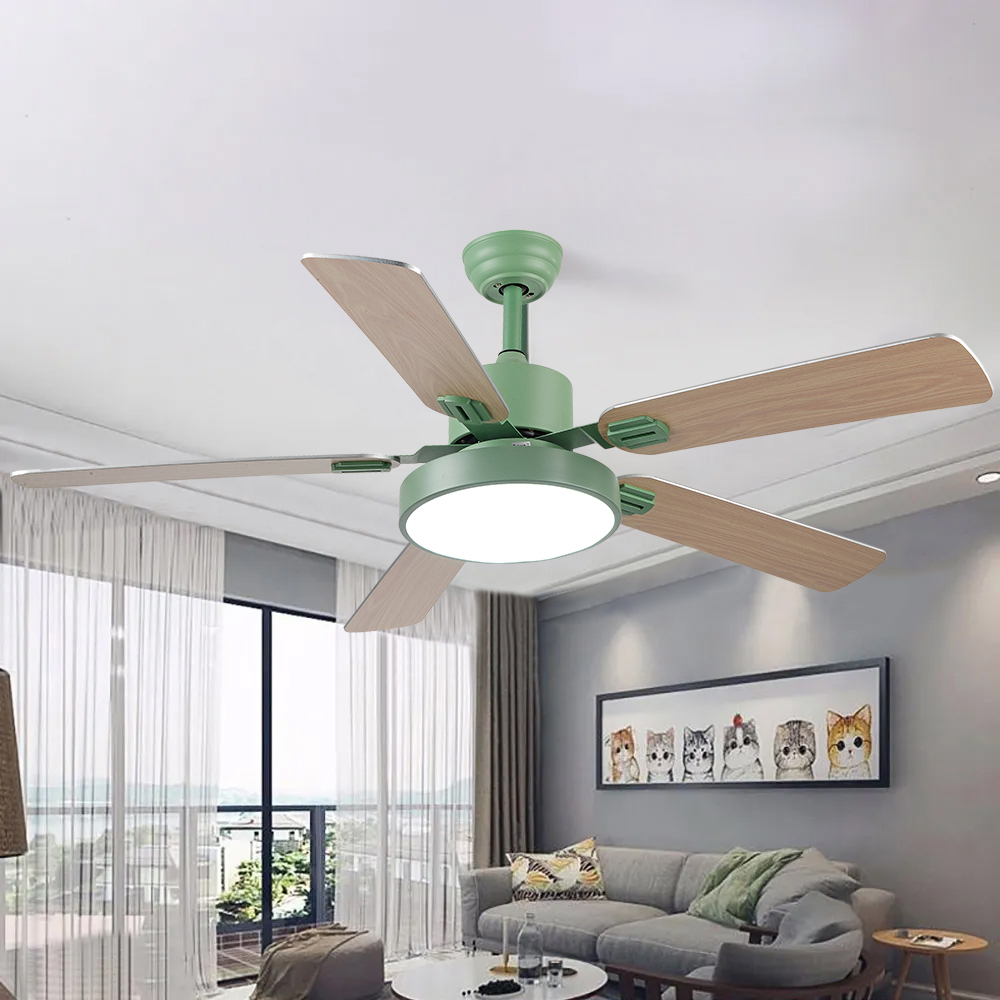 Ceiling Fan Ultra-Thin Modern Simplicity Frequency Remote - Ceiling ...